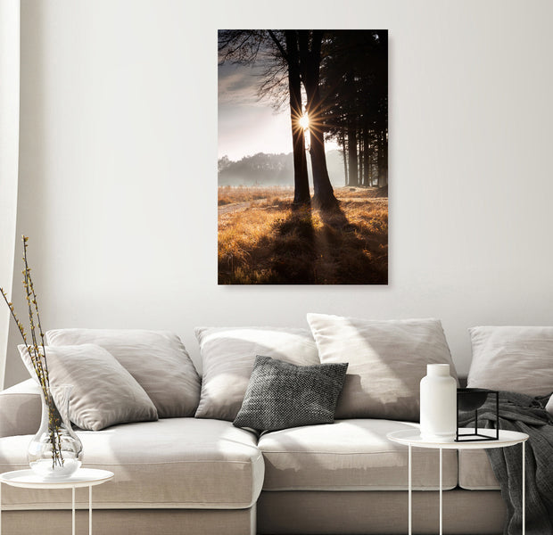Landscape Canvas Wall Art - We Are a Ray