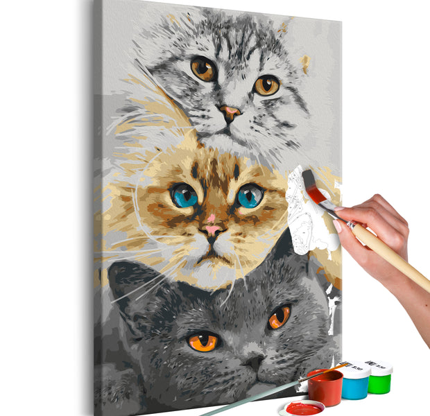 Paint By Numbers Kit - Cat's Trio