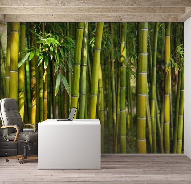 Zen Wallpaper Wall Mural - Oriental Bamboo Garden 39"Wx27"H