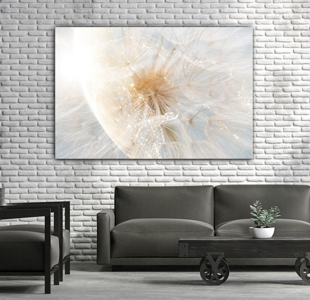 Floral Canvas Wall Art - Dandelion in the Sun