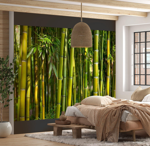 Zen Wallpaper Wall Mural - Oriental Bamboo Garden