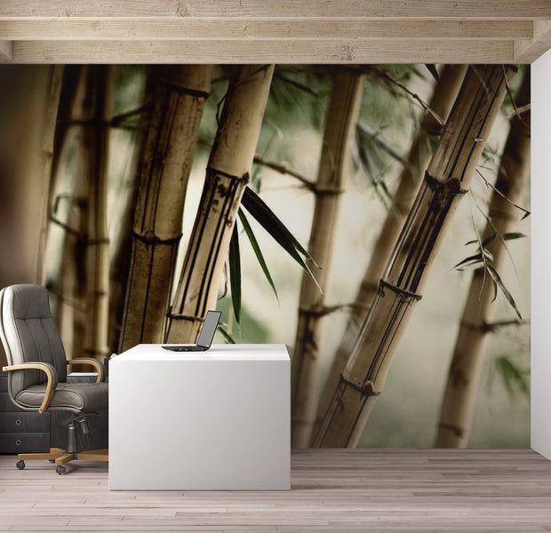 Zen Wallpaper Wall Mural - Fog And Bamboo Forest 118"Wx90"H