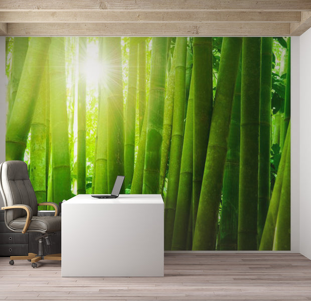 Zen Wallpaper Wall Mural - Sun And Bamboo 118"Wx90"H