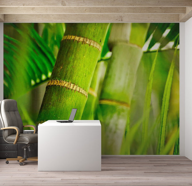 Zen Wallpaper Wall Mural - Bamboo Detail 118"Wx90"H
