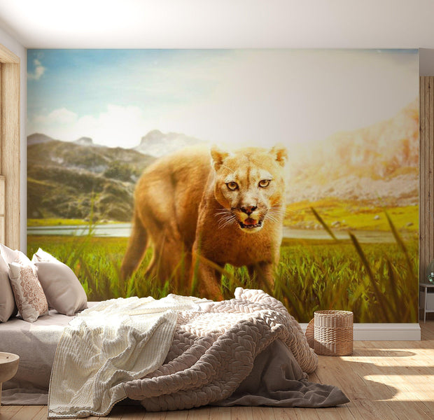 Animal Wallpaper Wall Mural - Watch Out!