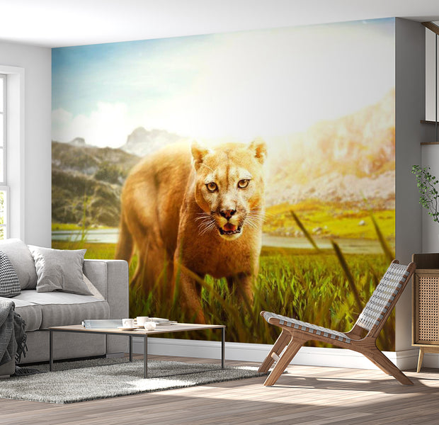 Animal Wallpaper Wall Mural - Watch Out! 39"Wx27"H