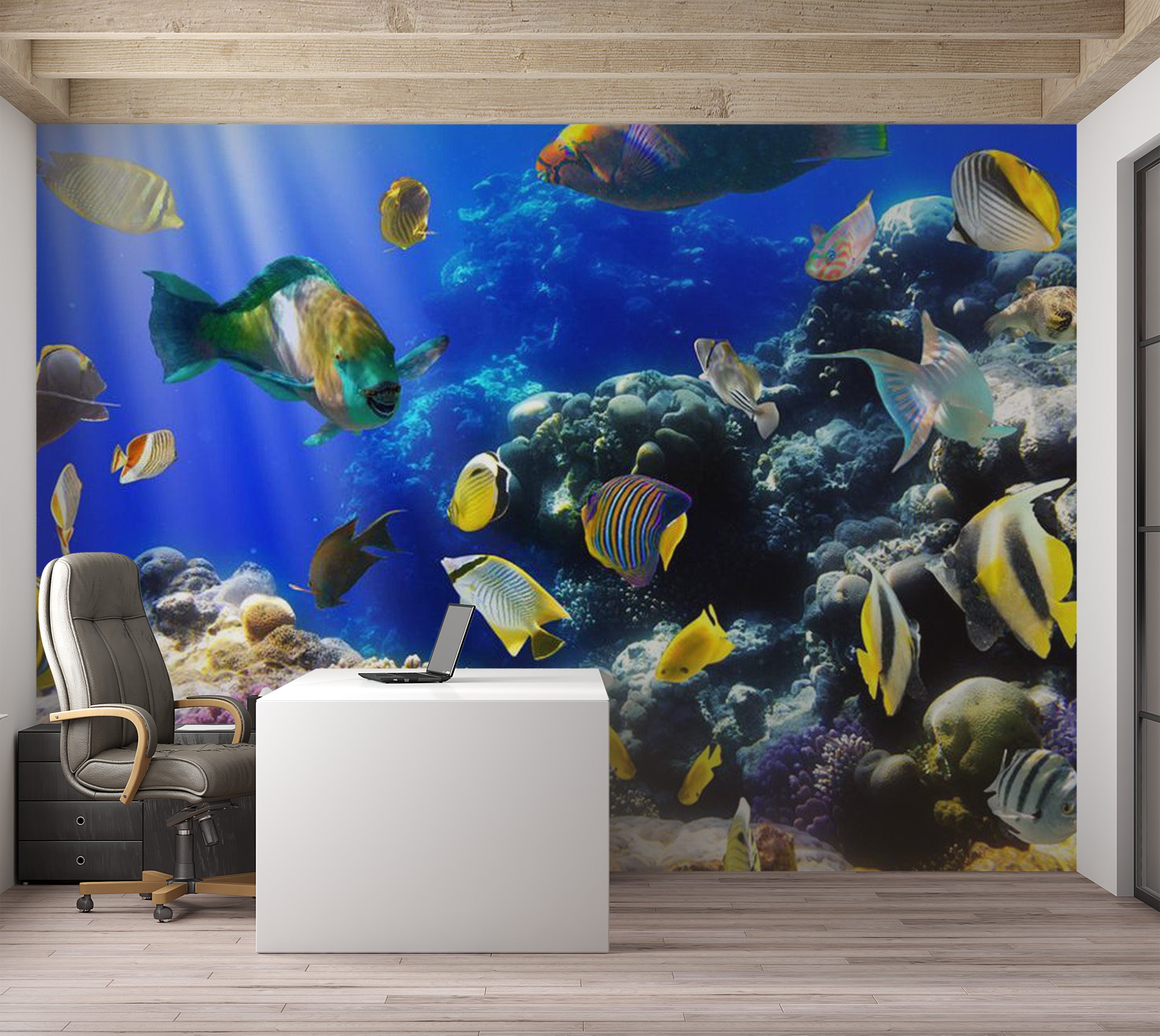 Animal Wallpaper Wall Mural - Underwater Adventure 39"Wx27"H