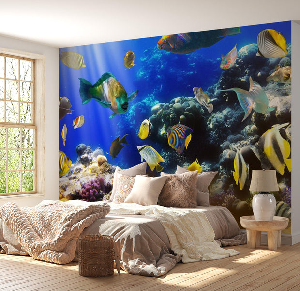 Animal Wallpaper Wall Mural - Underwater Adventure