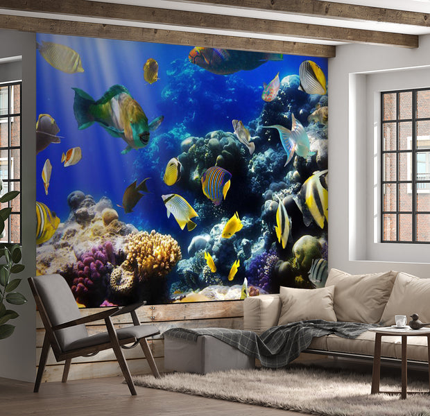 Animal Wallpaper Wall Mural - Underwater Adventure 39"Wx27"H
