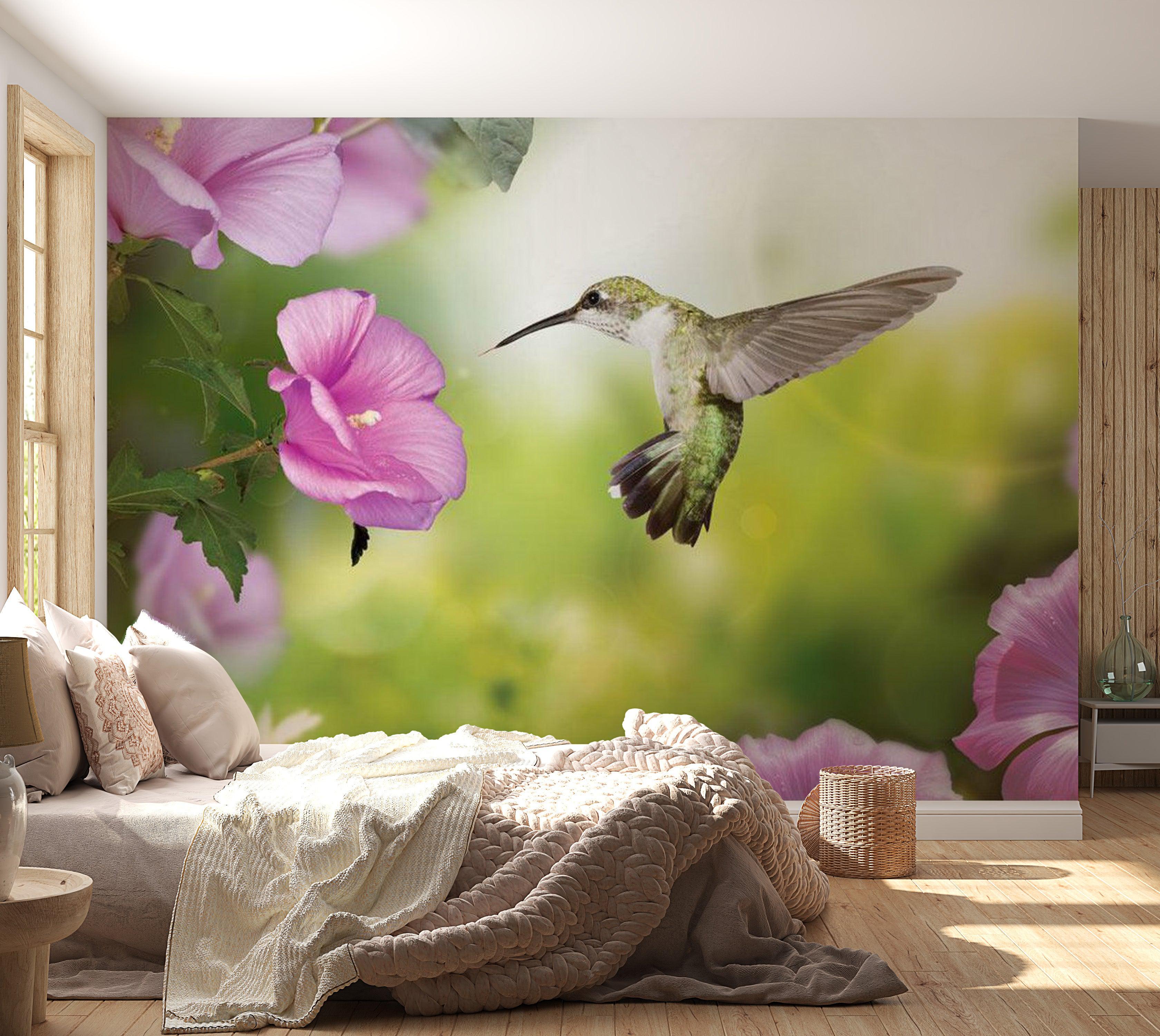 Animal Wallpaper Wall Mural - Humming-Bird