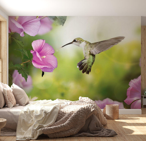 Animal Wallpaper Wall Mural - Humming-Bird
