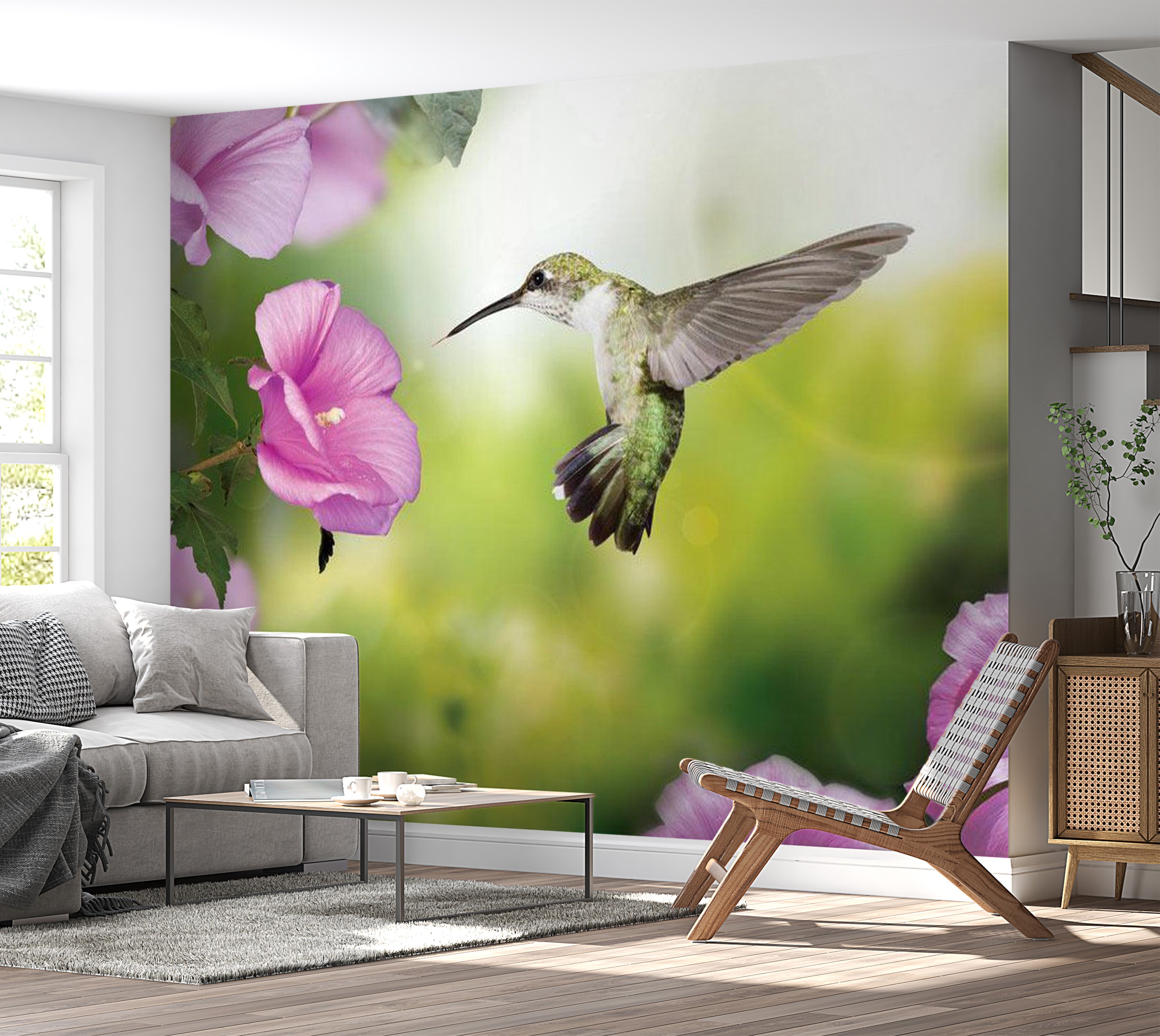 Animal Wallpaper Wall Mural - Humming-Bird 39"Wx27"H