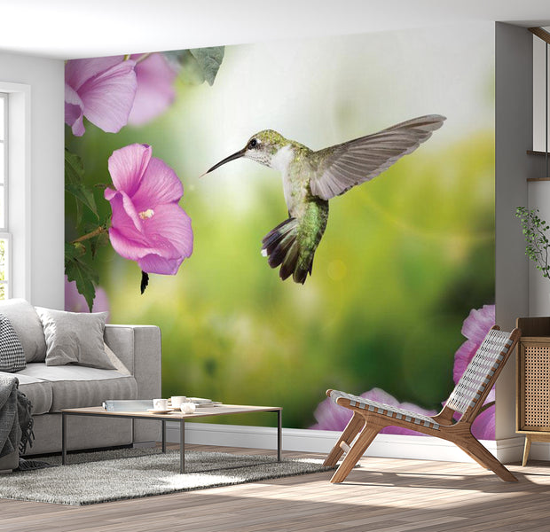 Animal Wallpaper Wall Mural - Humming-Bird 39"Wx27"H