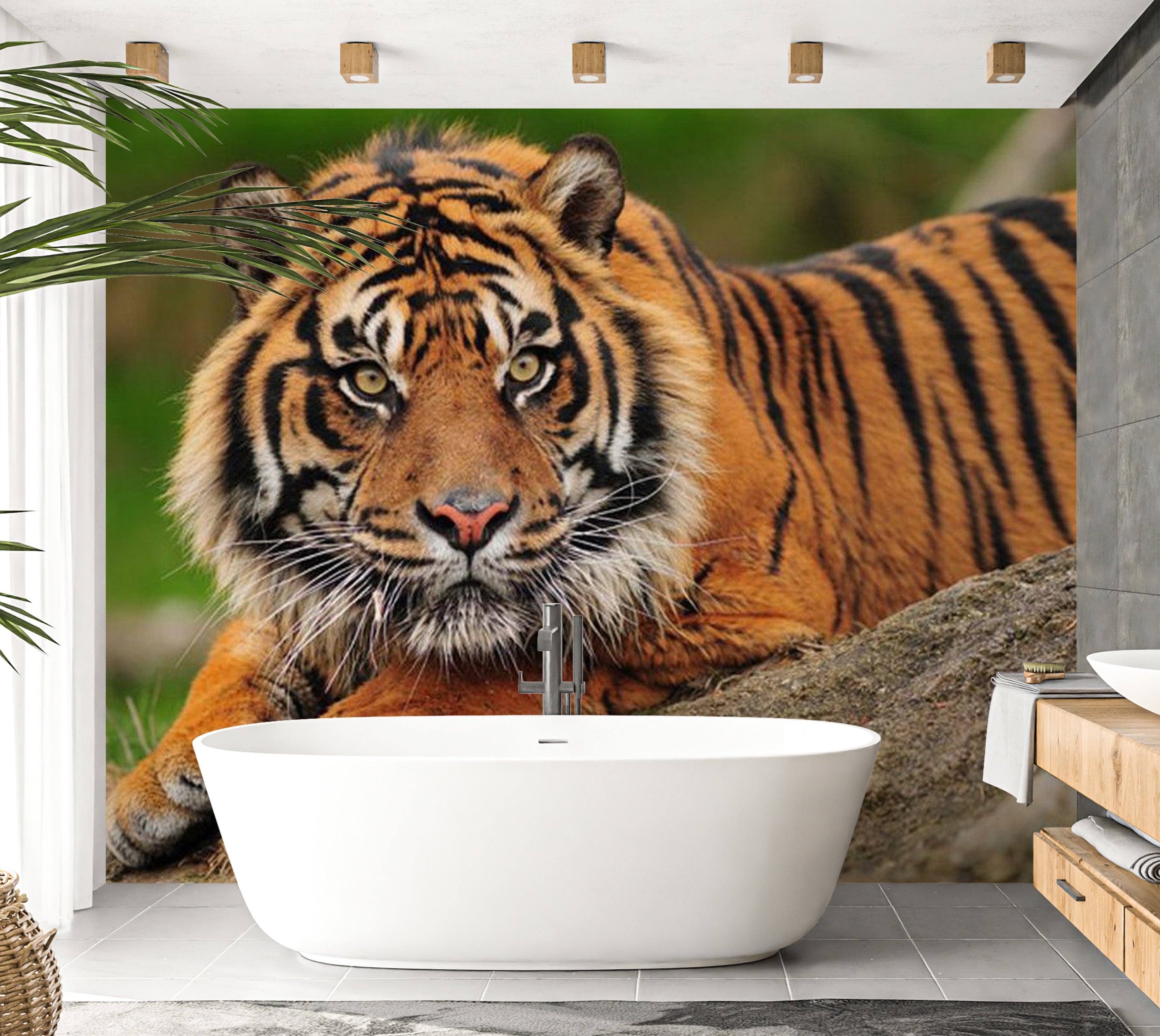 Animal Wallpaper Wall Mural - Sumatran Tiger 118"Wx90"H