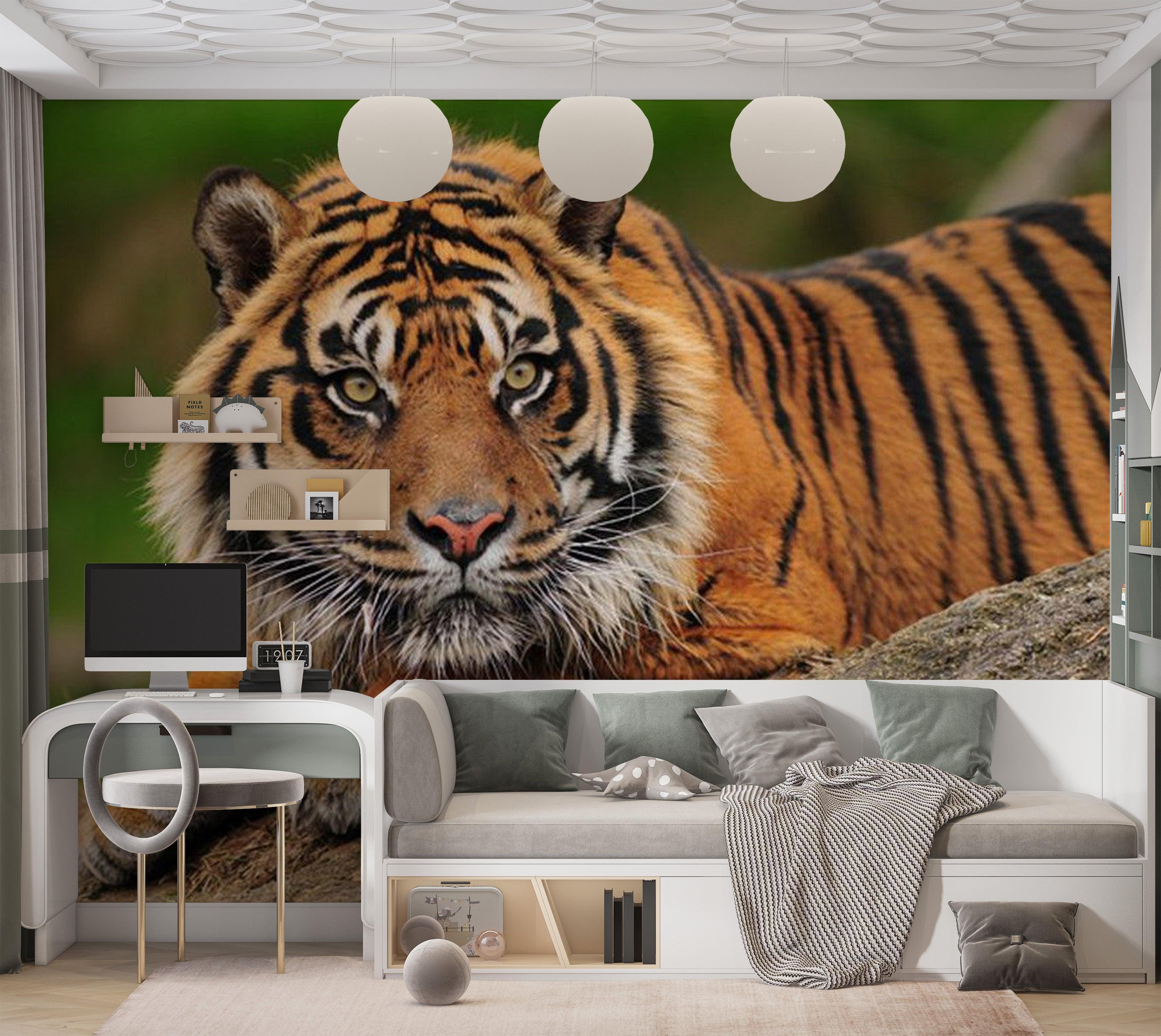 Animal Wallpaper Wall Mural - Sumatran Tiger