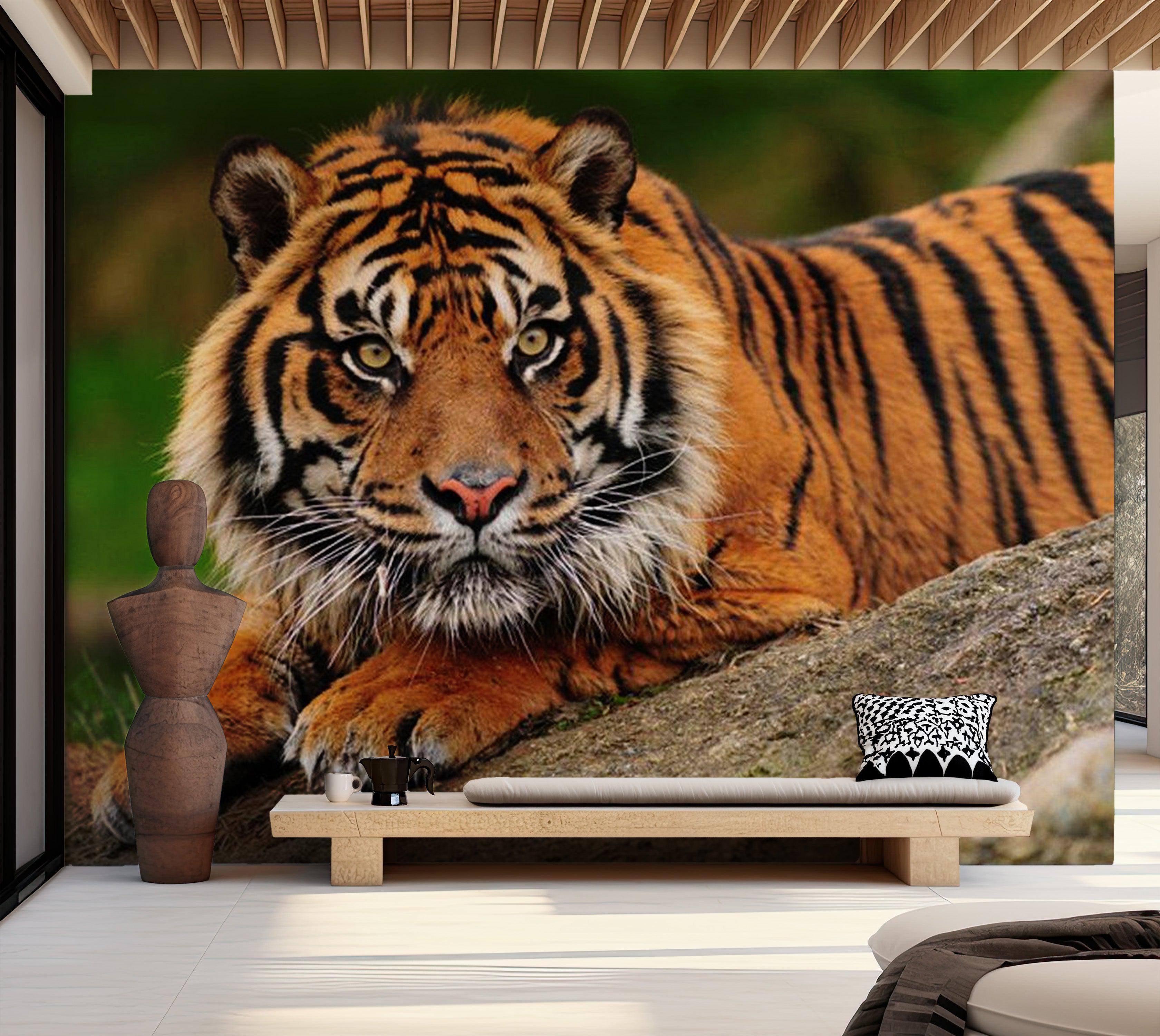 Animal Wallpaper Wall Mural - Sumatran Tiger