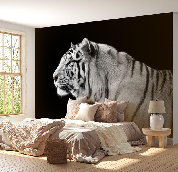 Animal Wallpaper Wall Mural - White Tiger