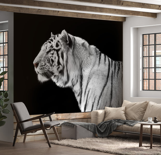 Animal Wallpaper Wall Mural - White Tiger 118"Wx90"H