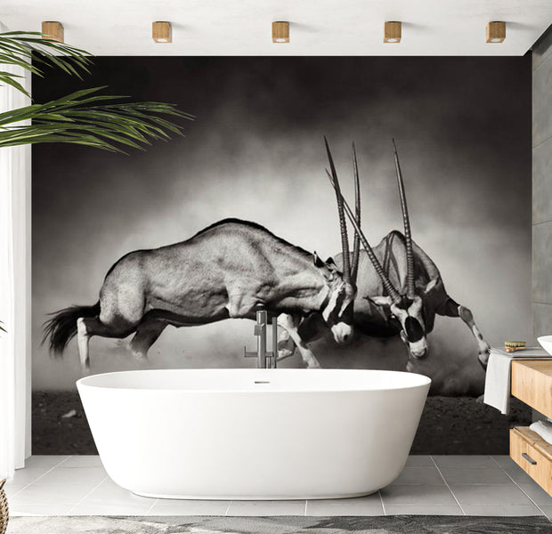 Animal Wallpaper Wall Mural - Gemsbok Fight 118"Wx90"H