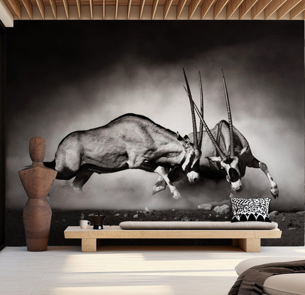 Animal Wallpaper Wall Mural - Gemsbok Fight