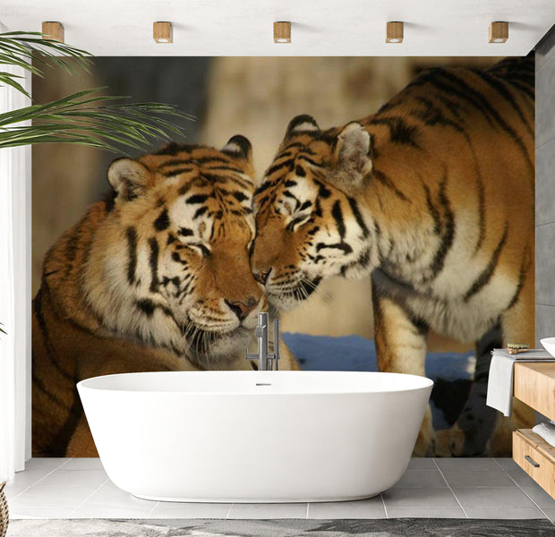 Animal Wallpaper Wall Mural - Unconditional Love