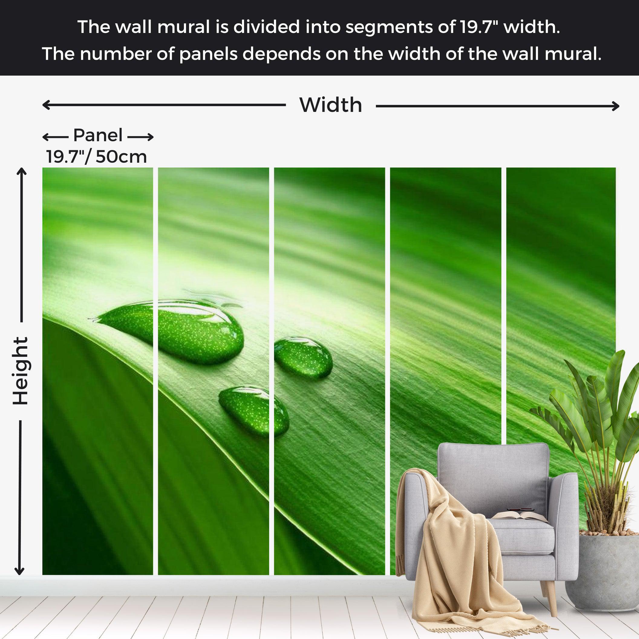 Abstract Wallpaper Wall Mural - A Drop Of Water