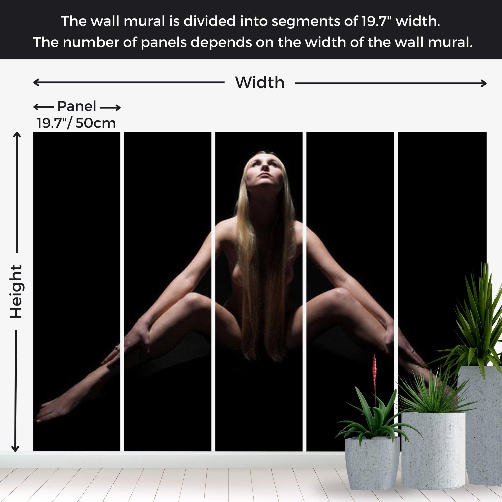 Abstract Wallpaper Wall Mural - Mystery Woman