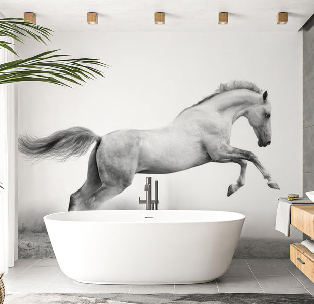 Animal Wallpaper Wall Mural - White Gallop