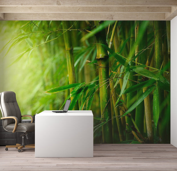 Zen Wallpaper Wall Mural - Green Jungle Bamboo 118"Wx90"H