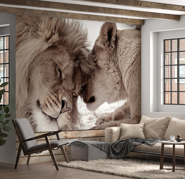 Animal Wallpaper Wall Mural - Lion Tenderness Sepia 39"Wx27"H