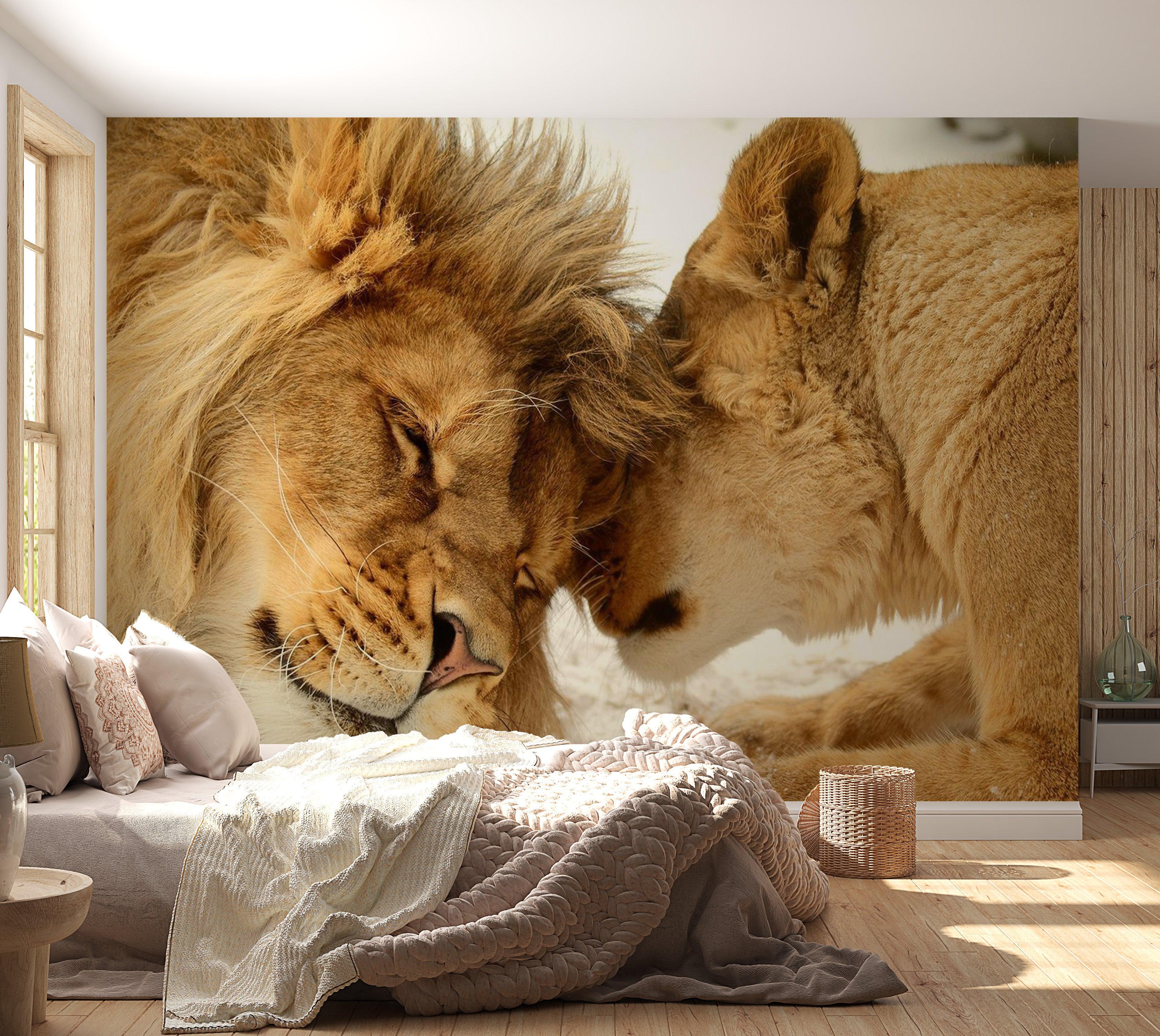 Animal Wallpaper Wall Mural - Lion Tenderness