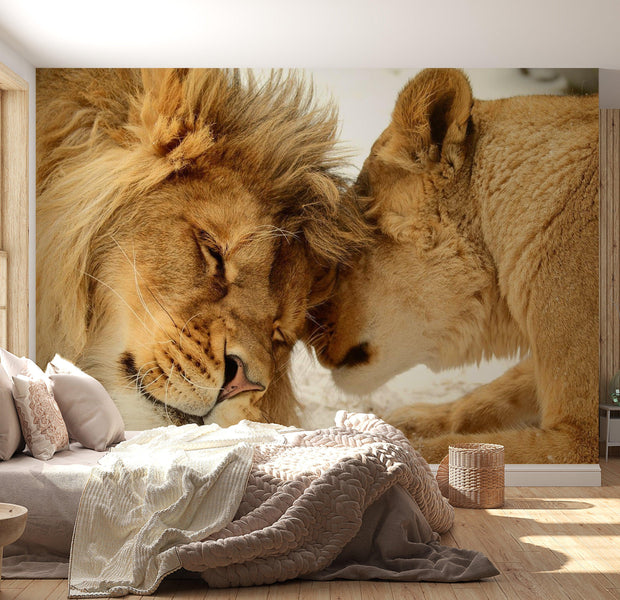 Animal Wallpaper Wall Mural - Lion Tenderness