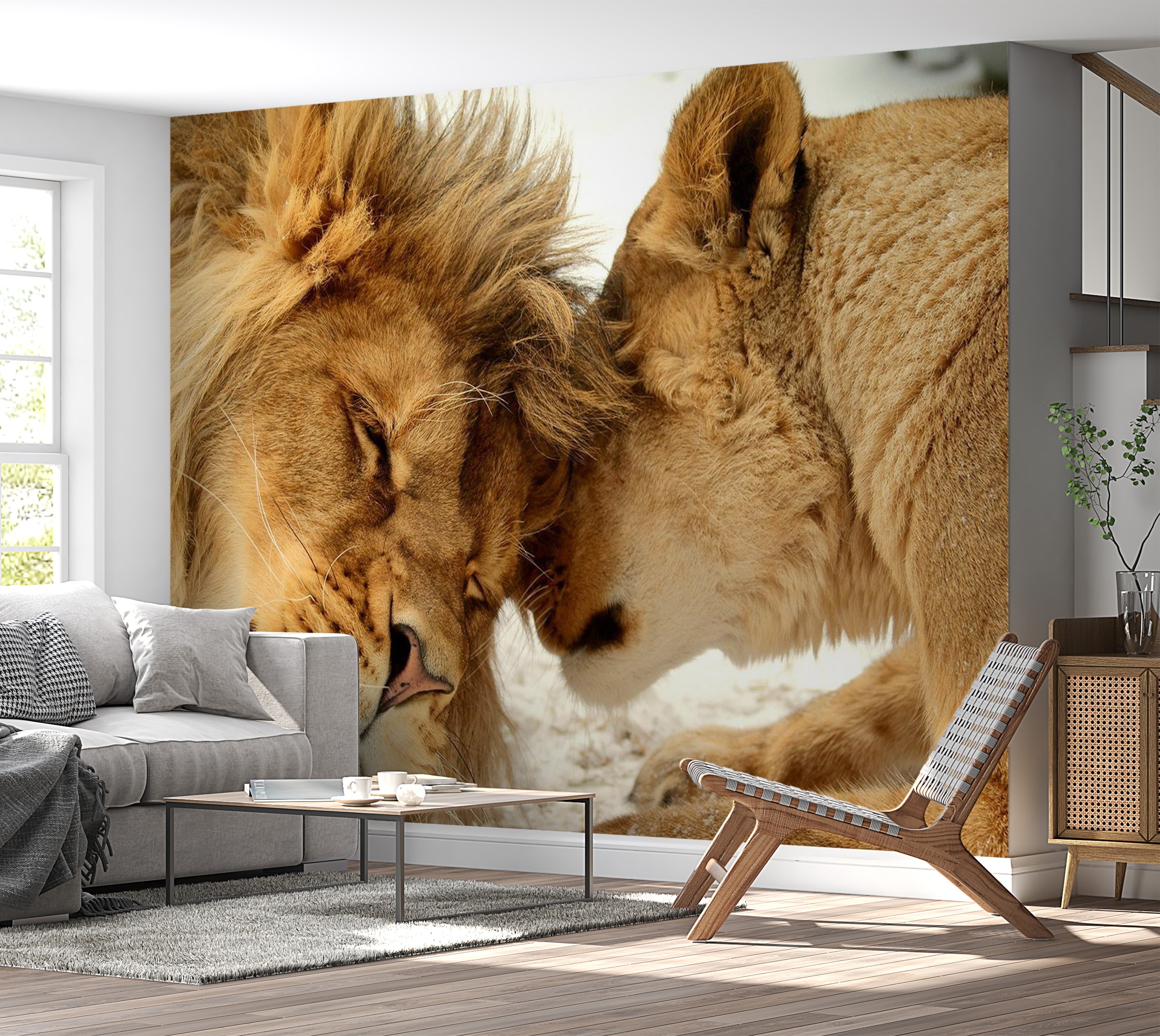 Animal Wallpaper Wall Mural - Lion Tenderness 39"Wx27"H