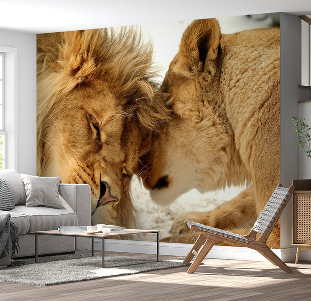 Animal Wallpaper Wall Mural - Lion Tenderness 39"Wx27"H