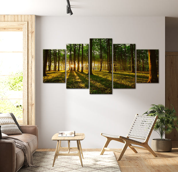 Stretched Canvas Landscape Art - Adventure In The Woods 40"Wx20"H
