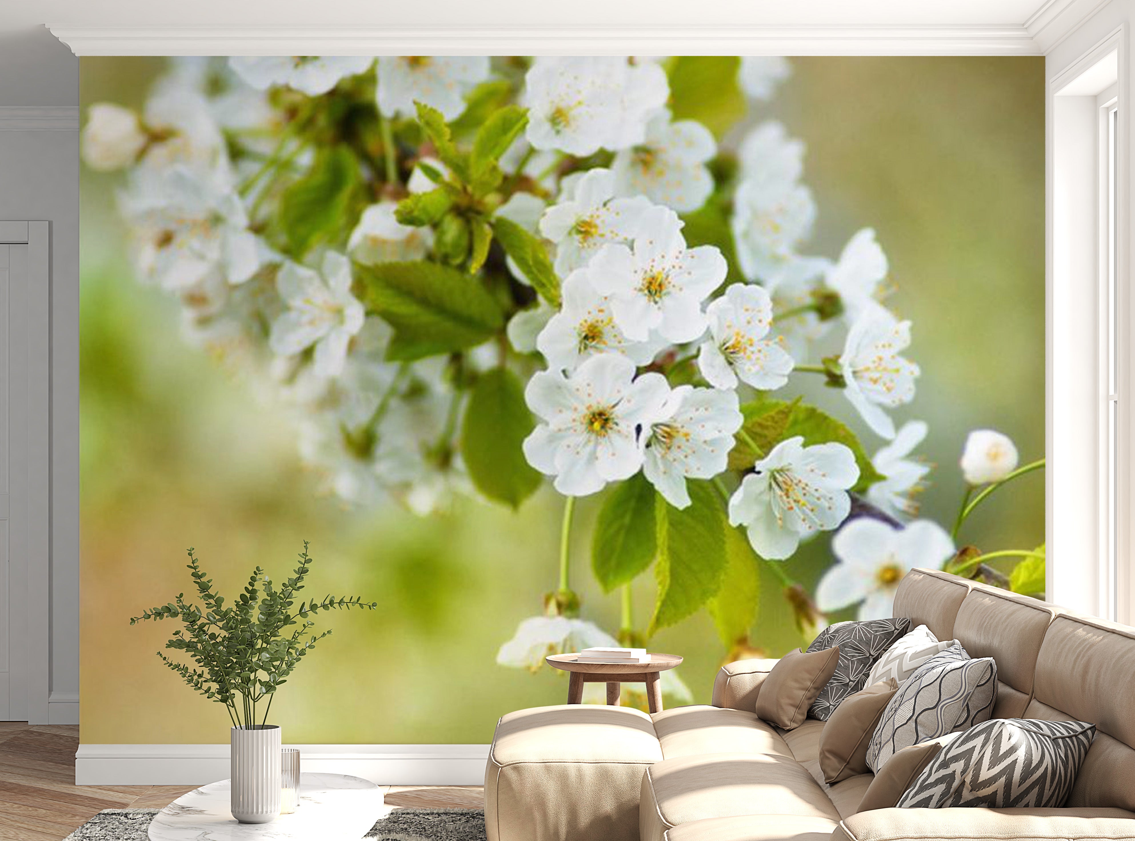 Floral Wallpaper Wall Mural - Beautiful Delicate Cherry Blossoms