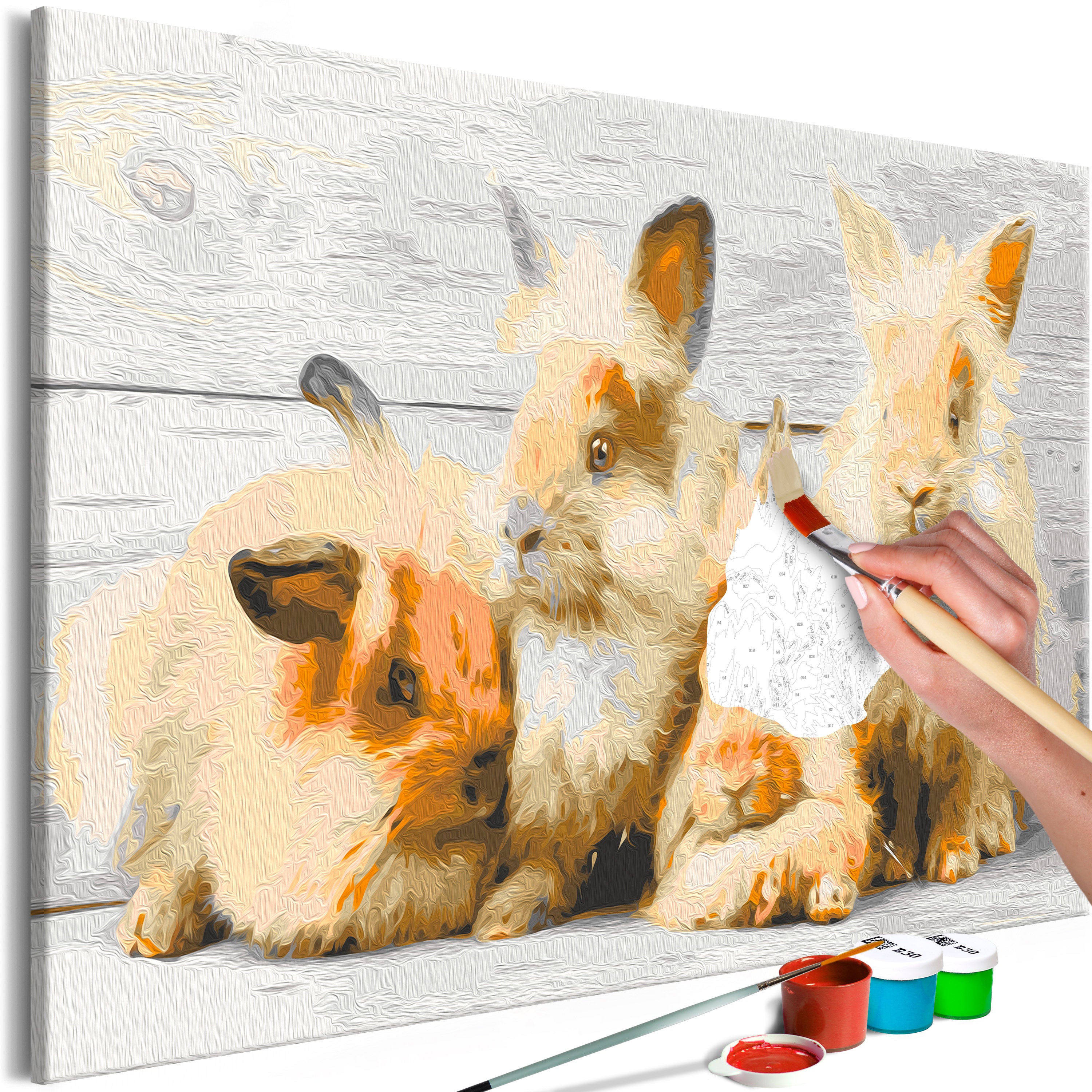 Paint By Numbers Kit - Four Bunnies