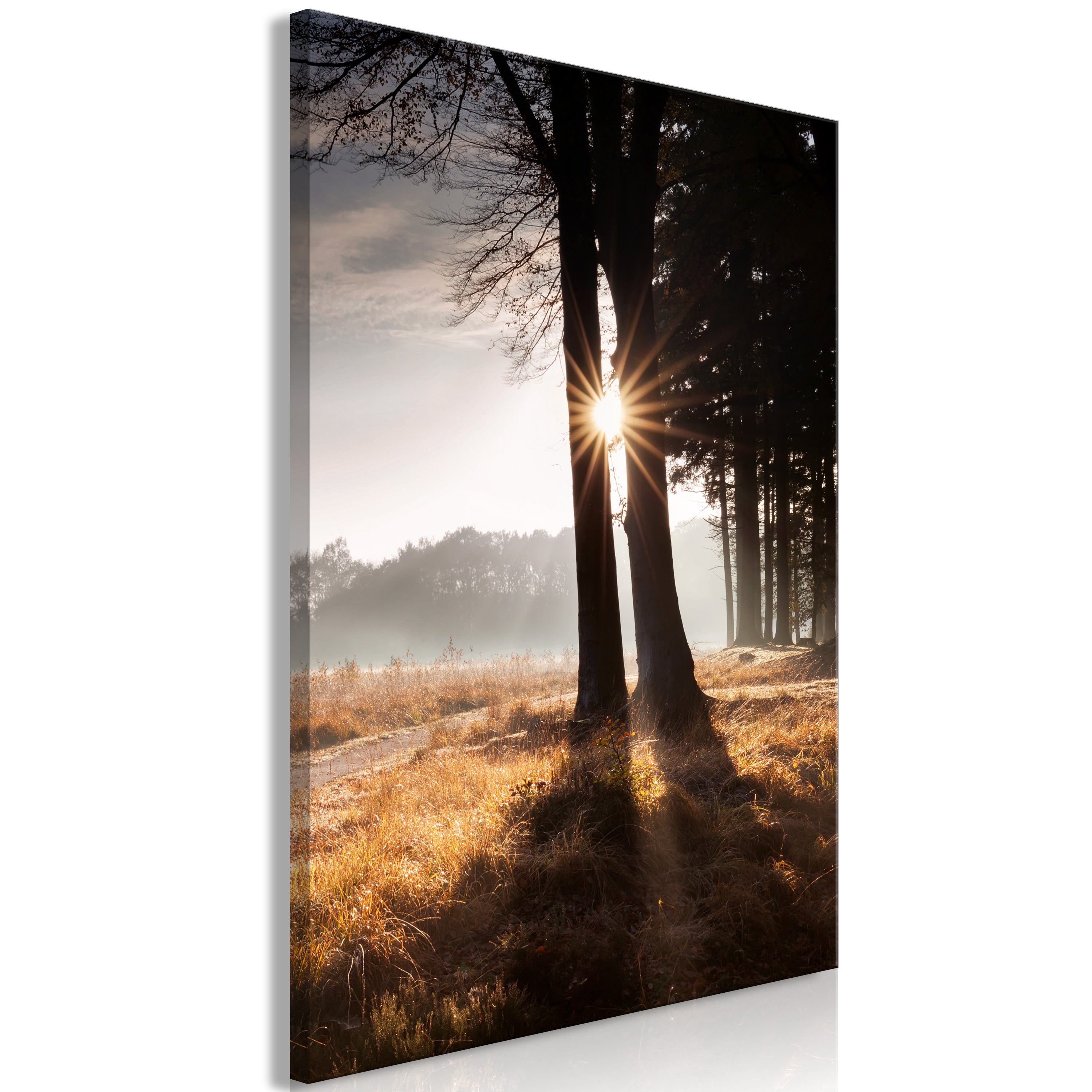 Landscape Canvas Wall Art - We Are a Ray