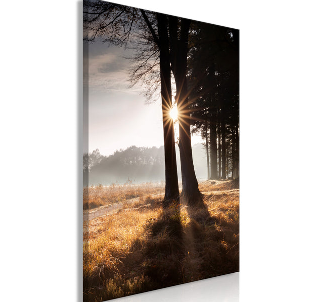 Landscape Canvas Wall Art - We Are a Ray