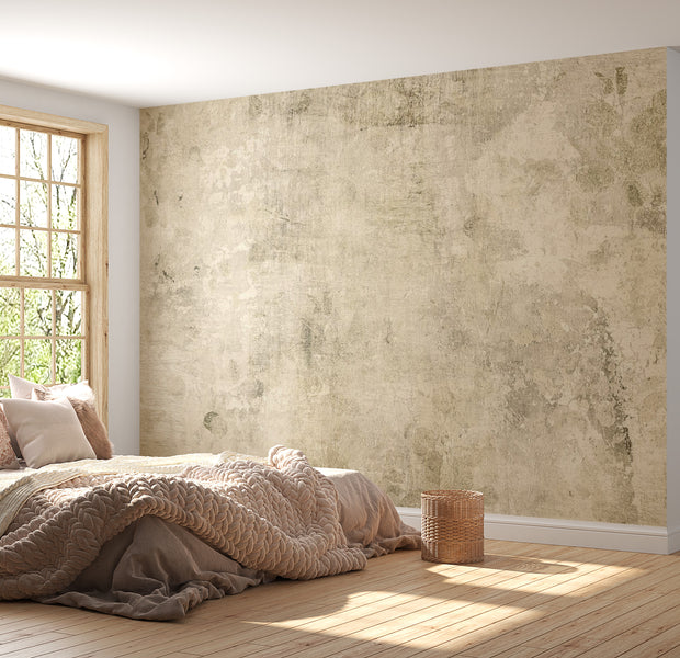 Peel & Stick Abstract Wall Mural - Boho Beige Grunge 38"Wx27"H