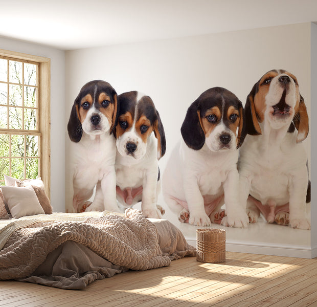 Peel & Stick Animal Wall Mural - Cute Puppies 38"Wx27"H