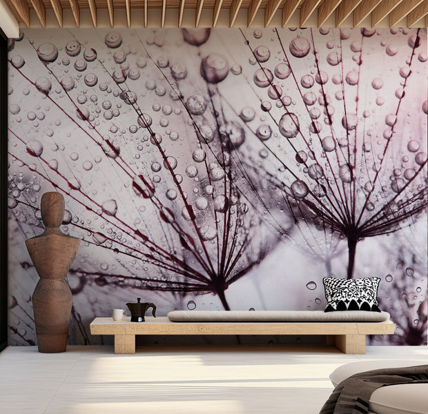 Floral Wallpaper Wall Mural - Dandelion in The Rain 39"Wx27"H / Standard