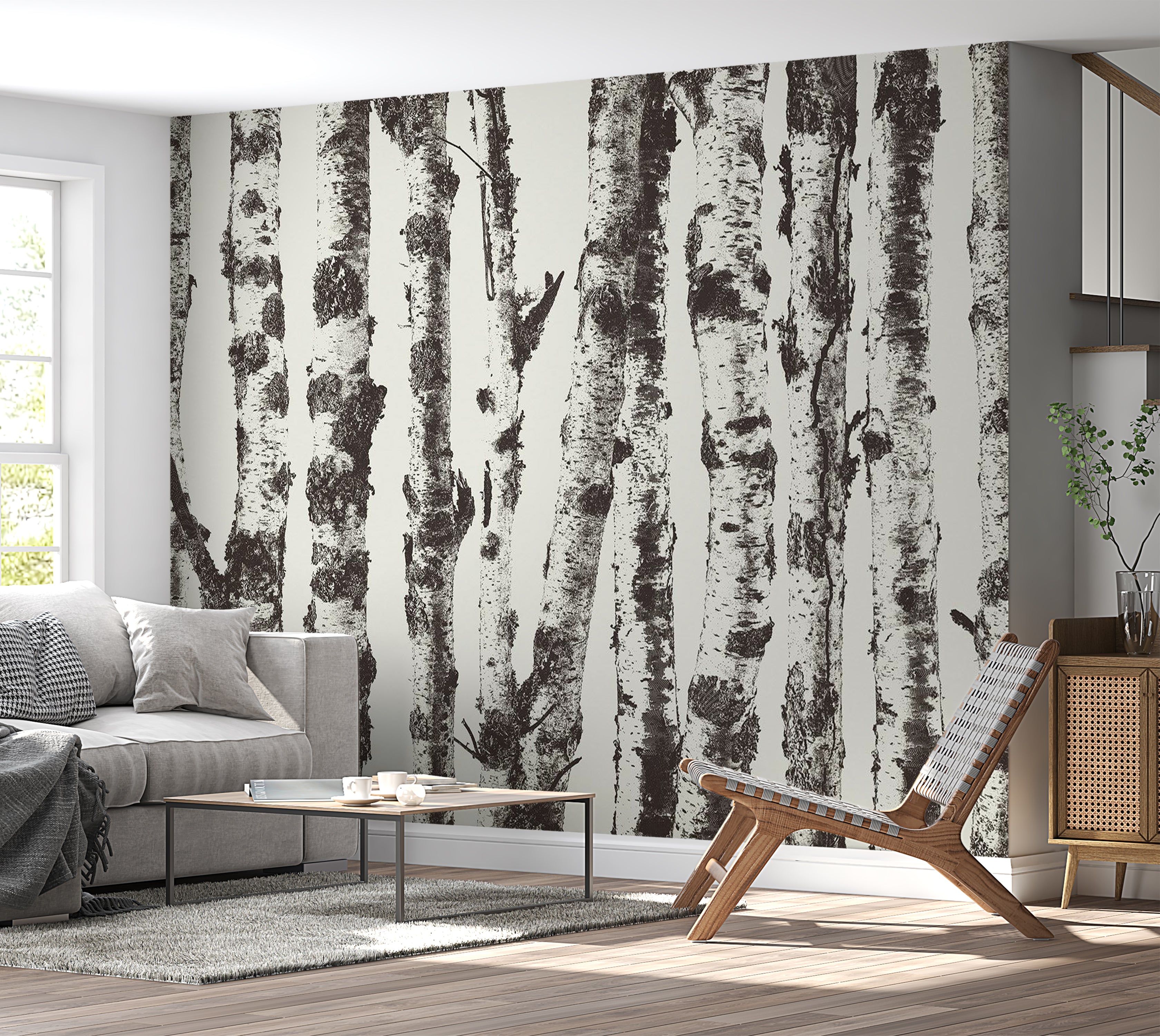 Landscape Wallpaper Wall Mural - Group of Birches 39"Wx27"H / Standard