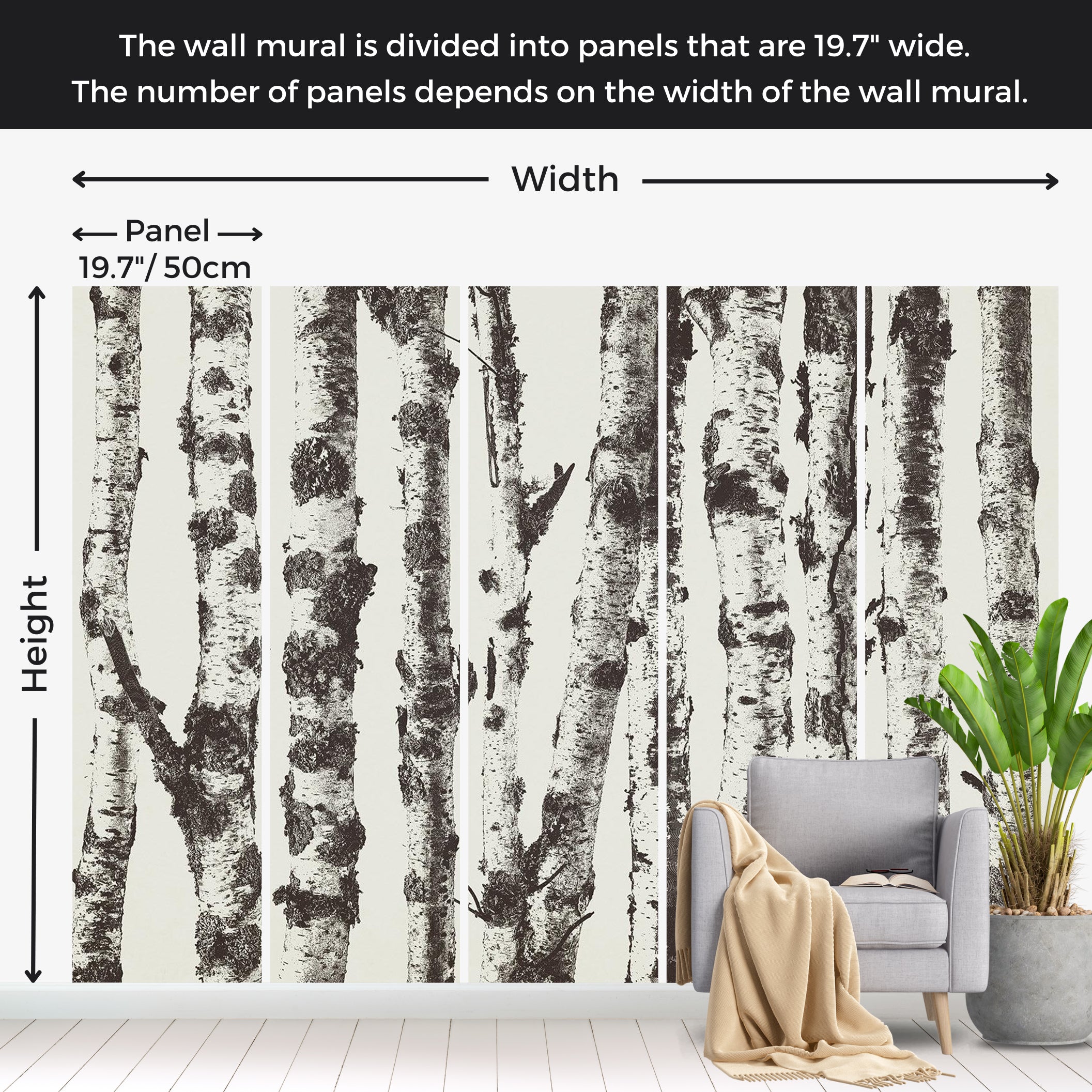 Landscape Wallpaper Wall Mural - Group of Birches 39"Wx27"H / Standard