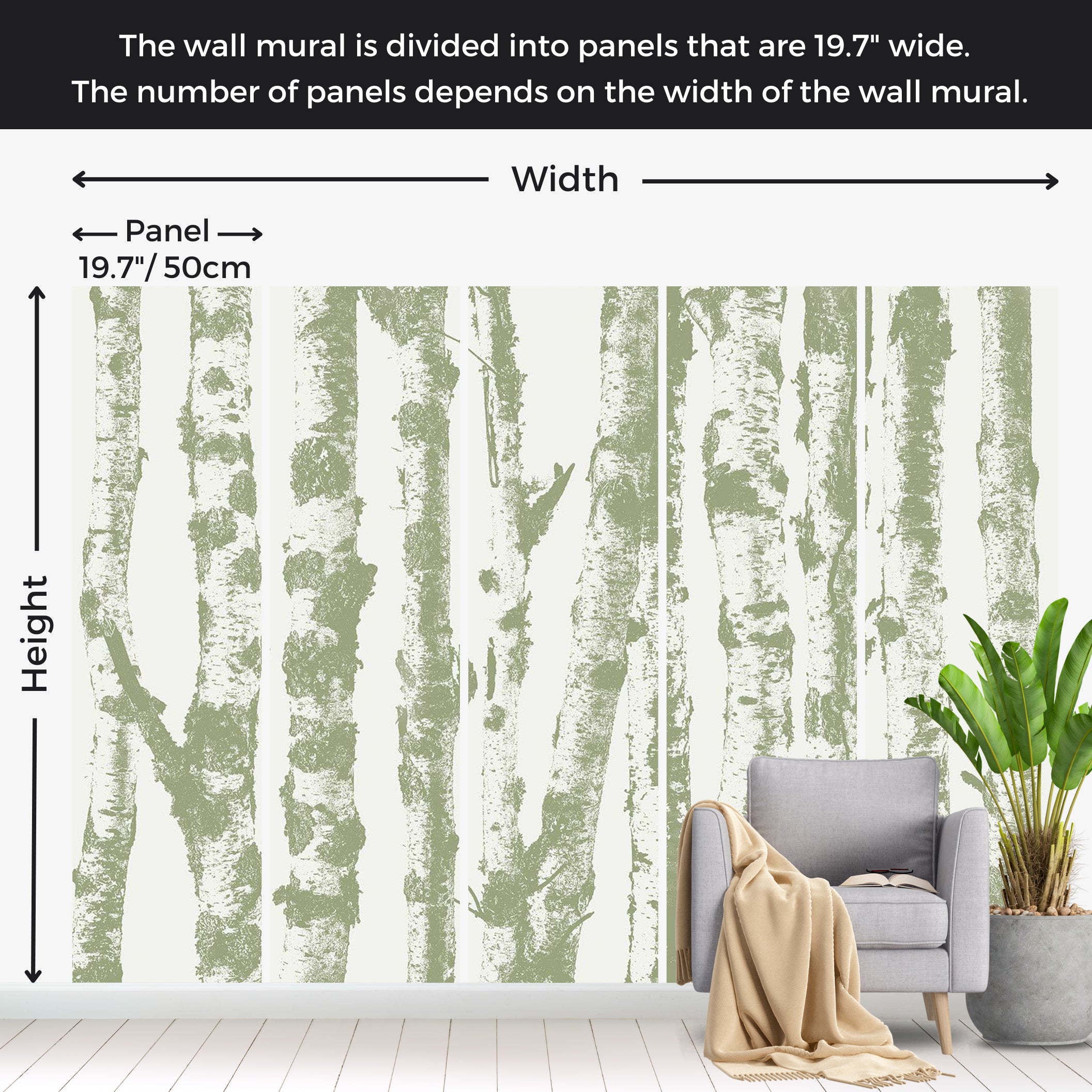 Landscape Wallpaper Wall Mural - Group of Birches Sage 39"Wx27"H / Standard