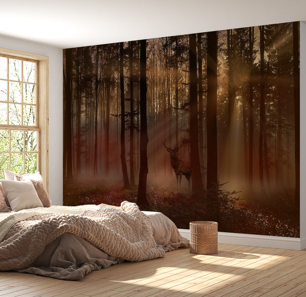 Landscape Wallpaper Wall Mural - Mystical Forest 39"Wx27"H / Standard