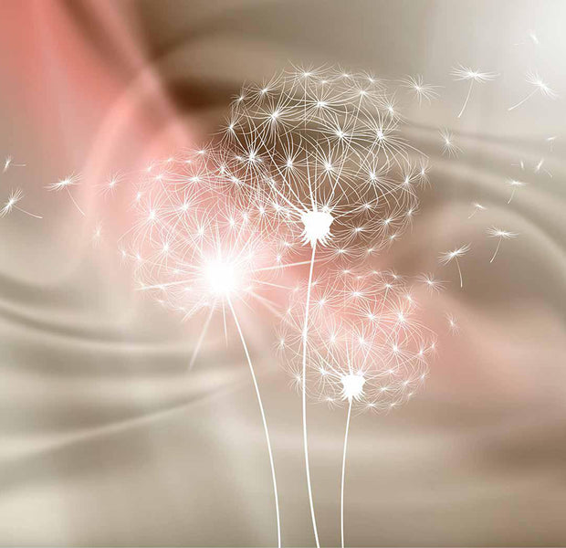 Peel & Stick Floral Wall Mural - Soft Light Dandelion 38"Wx27"H