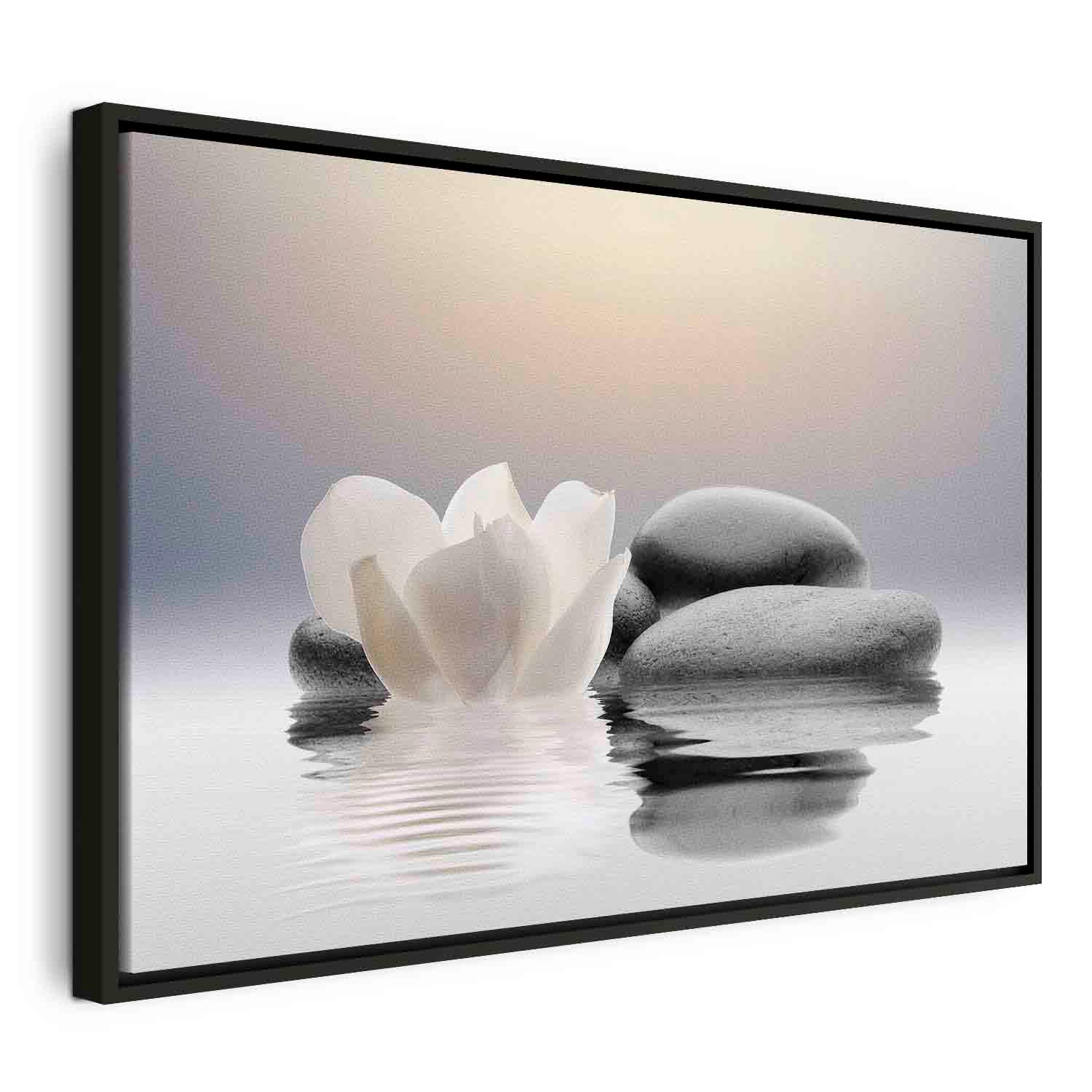 Floating Framed Canvas Art - Garden of Calm