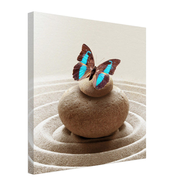 Butterfly On Coral Rocks Canvas Print
