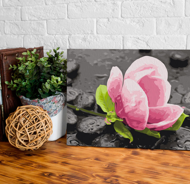 Paint By Numbers Kit - Pink Flower and Stones